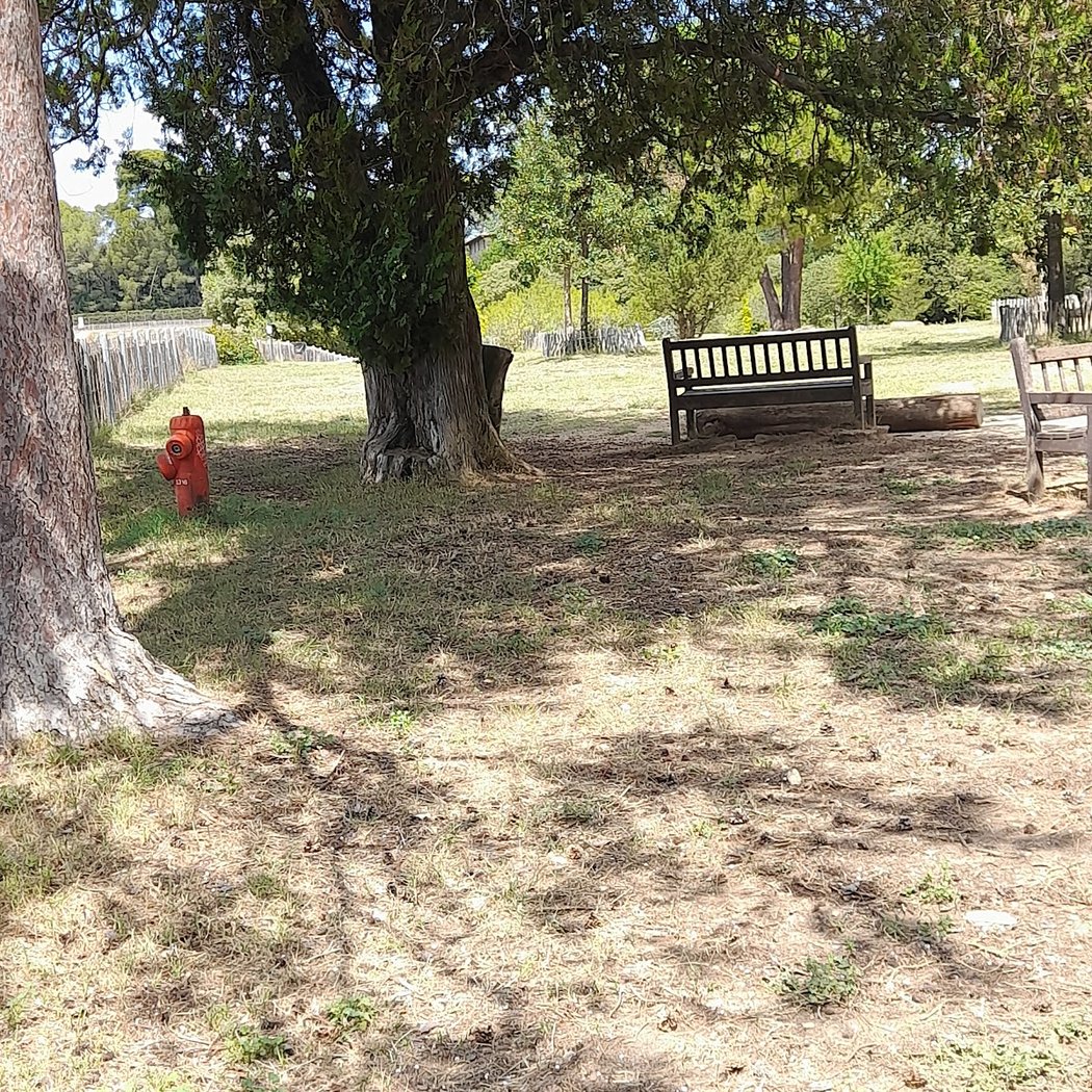 Parc à chiens 3